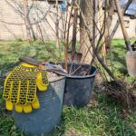 Акція «Посади дерево Перемоги» у нашому місті