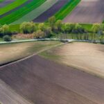 Які земельні сервіси доступні на Гіді з державних послуг?