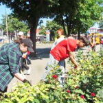 Працевлаштування для молоді