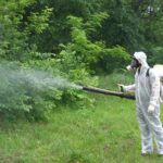 Проведення дезінсекційних заходів на території  зелених зон міста Павлоград