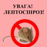 ЛЕПТОСПІРОЗ – ОСОБЛИВО НЕБЕЗПЕЧНЕ ІНФЕКЦІЙНЕ ЗАХВОРЮВАННЯ