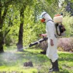 Проведення дезінсекційних заходів на території зелених зон м. Павлоград