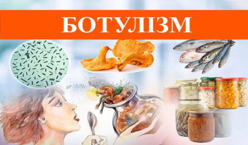 Правила, які допоможуть уникнути отруєння грибами