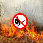 Спалювання сухої рослинності заборонено!