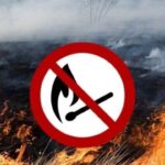 Збережи довкілля — не пали суху траву