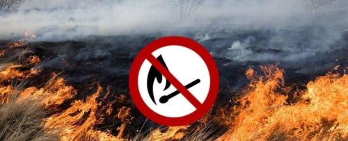 Збережи довкілля — не пали суху траву