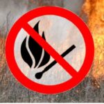 Небезпека спалювання сухого листя та сміття