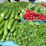 РАННІ ОВОЧІ: КОРИСТЬ ЧИ НЕБЕЗПЕКА!