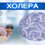 ХОЛЕРА . ПРОФІЛАКТИЧНІ ЗАХОДИ