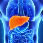 Що необхідно знати про гепатити