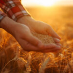 У Дніпропетровській області розпочинає працювати гуманітарна програма з відновлення у секторі сільського господарства від міжнародної  християнської організації – благодійного фонду «Samaritan`s Purse»